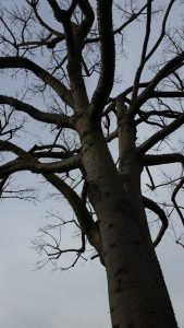 16426_10152497750626366_1186361627719154528_n