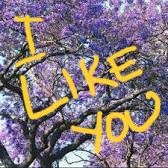 CE441D97-F153-4D3A-9315-5D0847A1727A